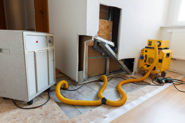 Best Mold Remediation for Rental Properties  in USA